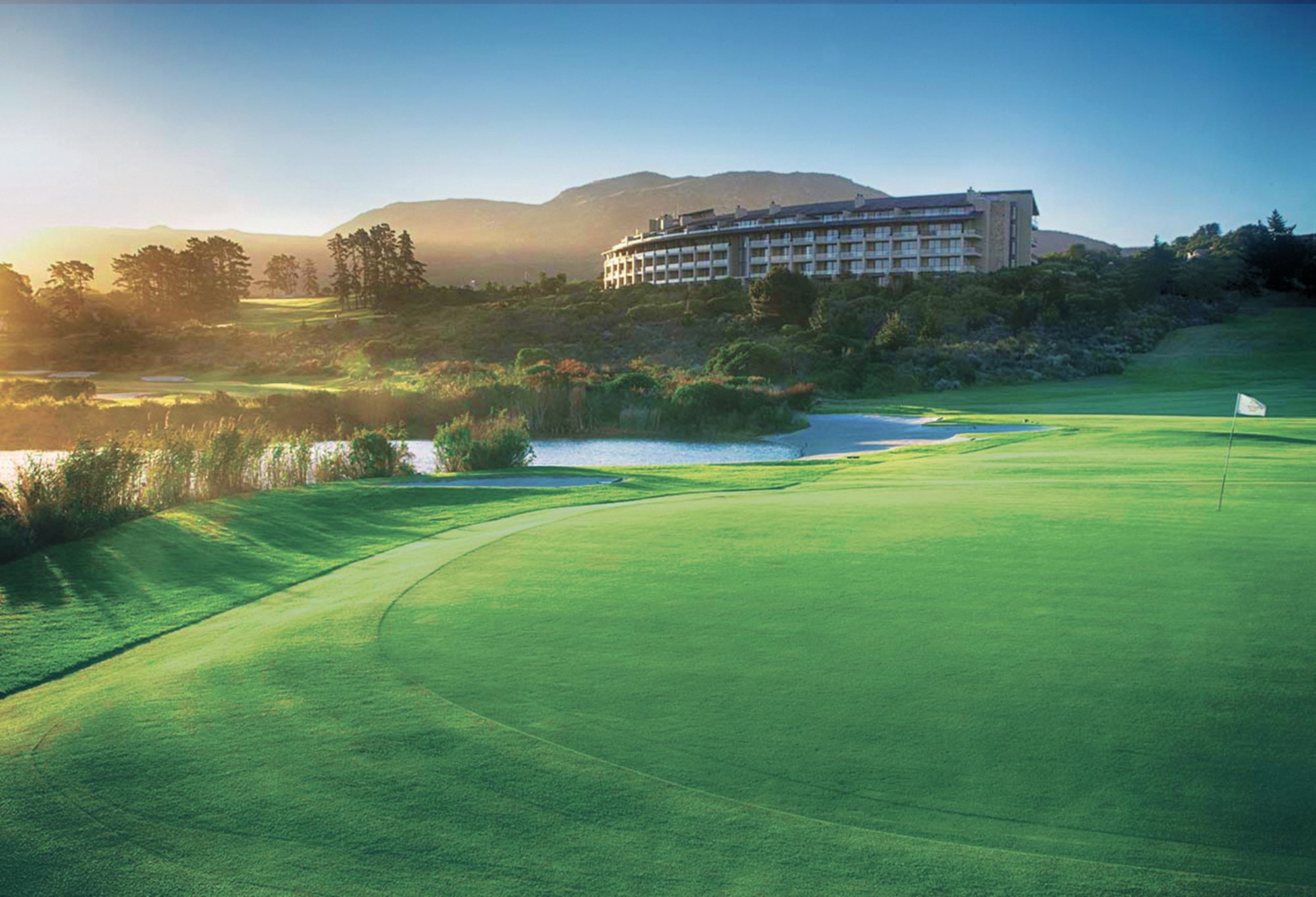 The practice green