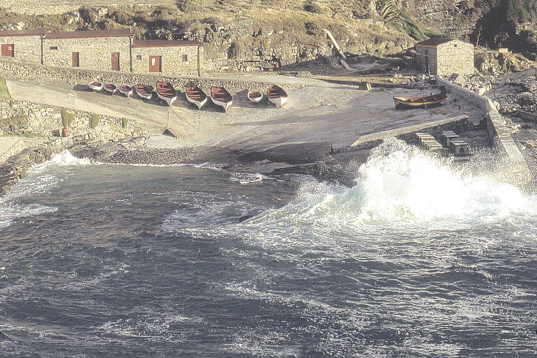 Hermanus