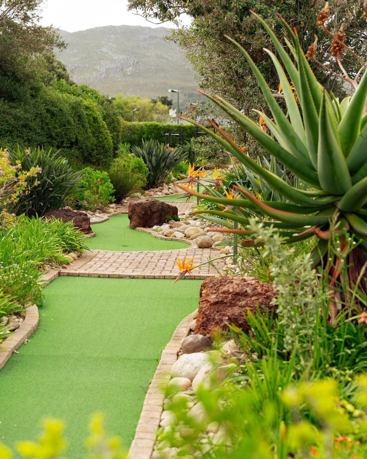 Putt-Putt