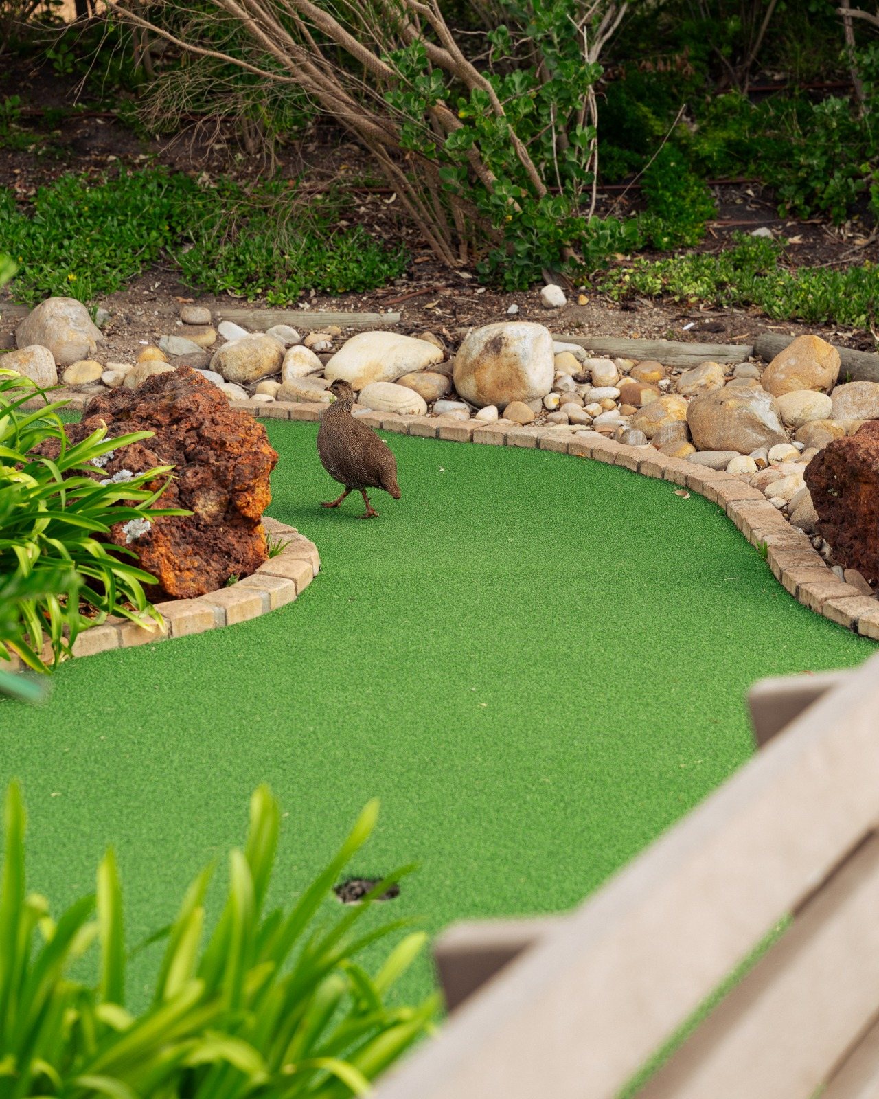 Putt-Putt