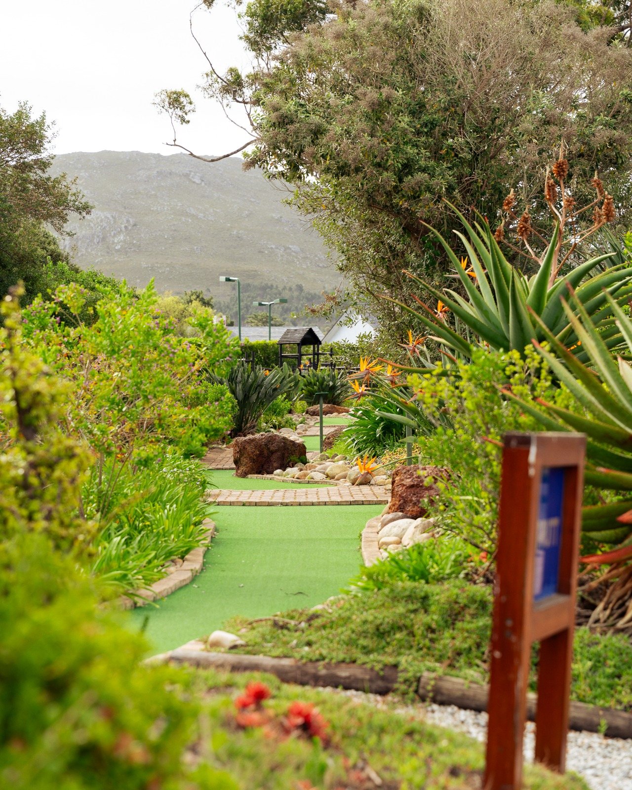 Putt-Putt